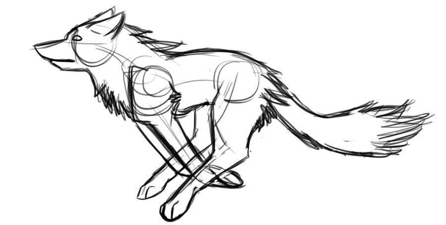 900x455 Running Dog Drawing - Running Dog Sketch