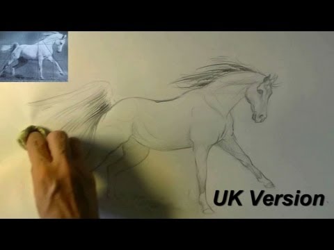 480x360 How To Draw A Running Horse Animal Drawings - Running Horse Sketch