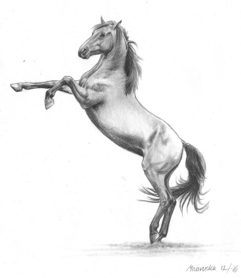 832x960 Pencil Sketch Of Horse Images Running Horse Pencil Sketch Portrait - Running Horse Sketch
