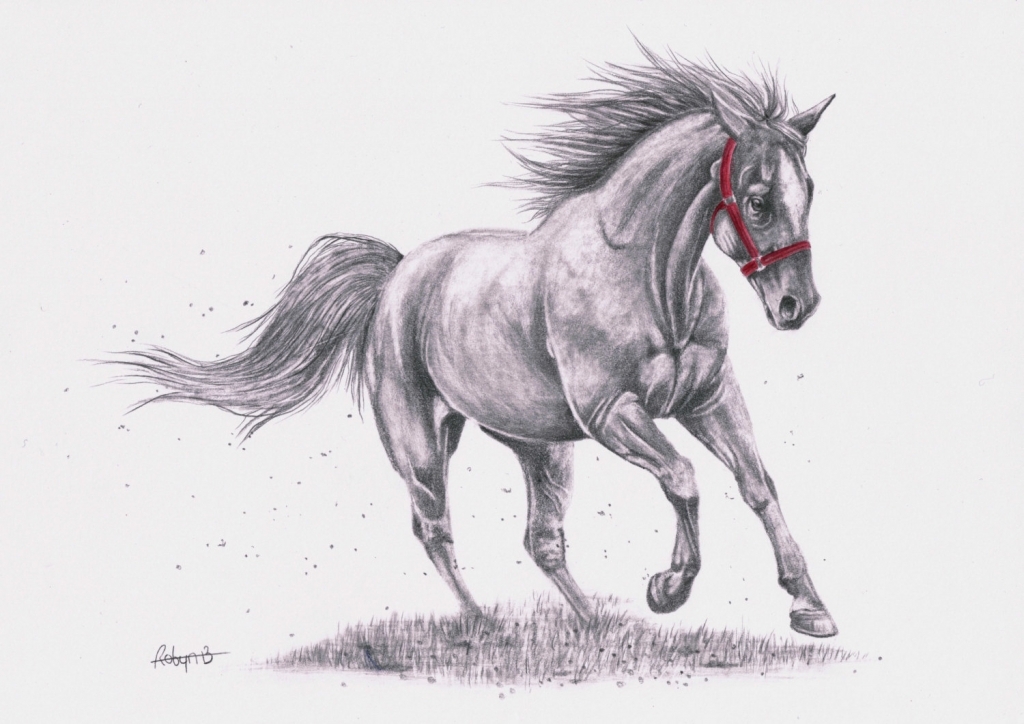 1024x724 Running Horse Diagrams - Running Horse Sketch