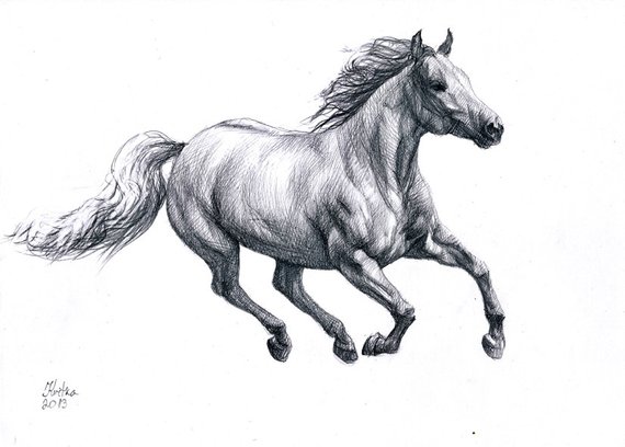 570x408 Running Horse Drawings In Pencil, Pencil Drawings Of Horses Running - Running Horse Sketch