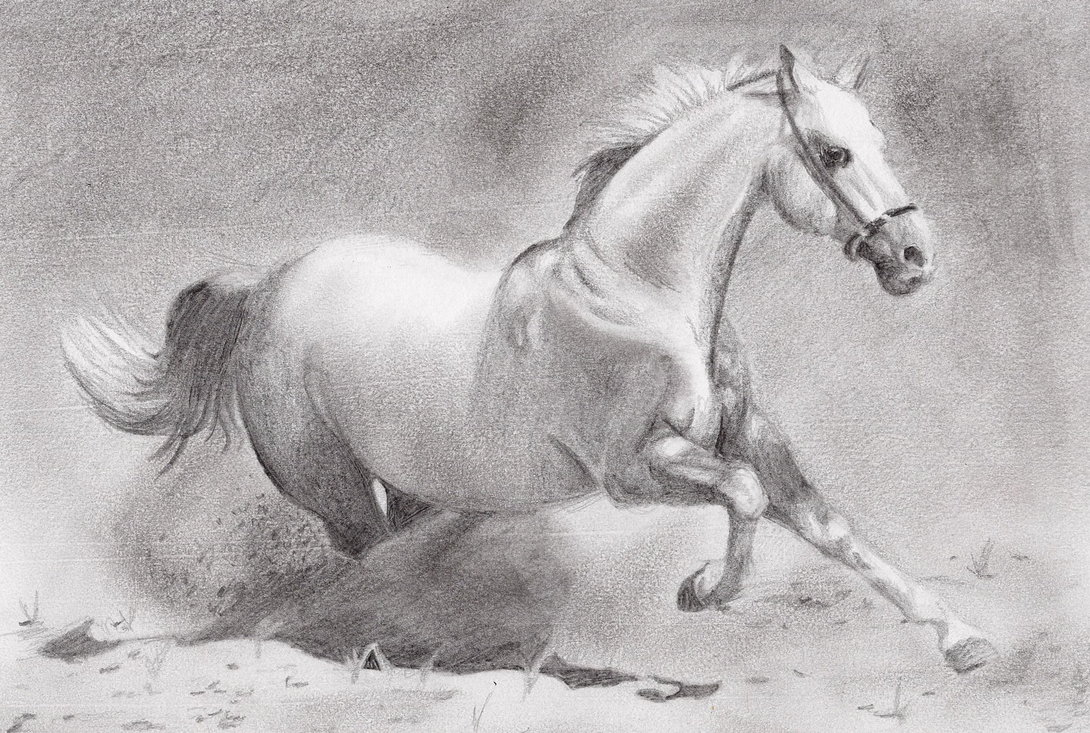 1090x733 Collection Of Realistic Running Horse Drawing High Quality - Running Horse Sketch