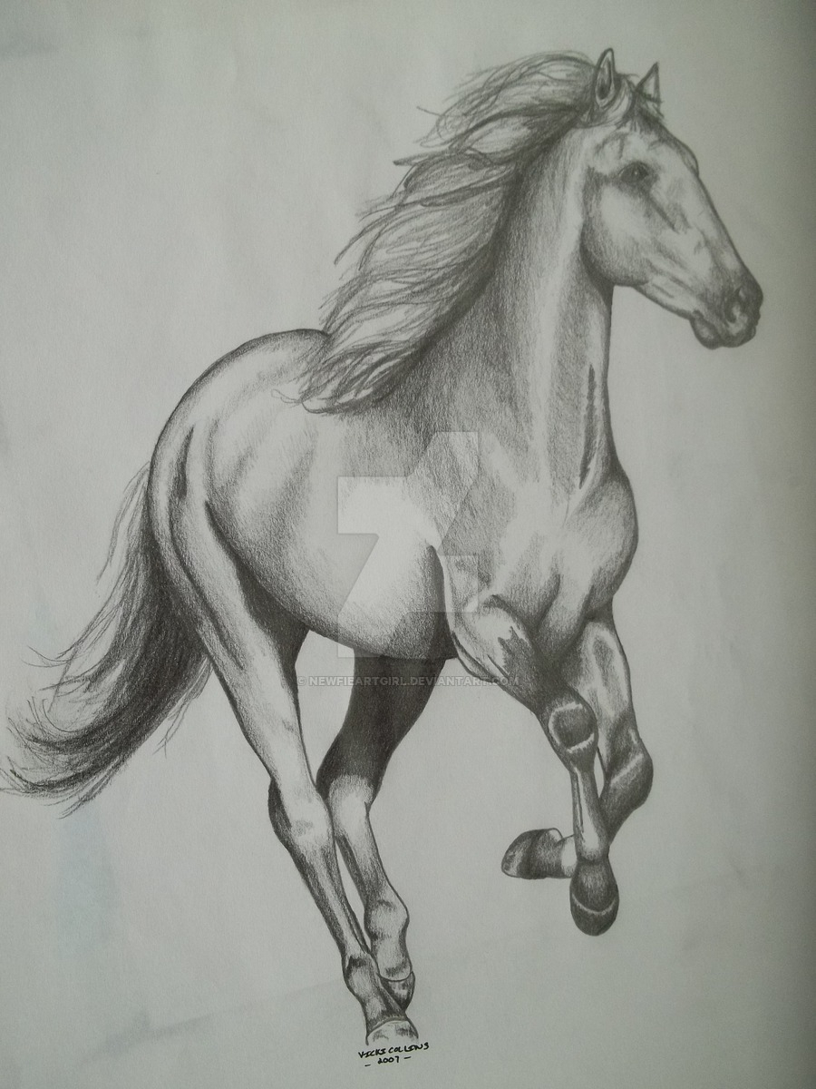 900x1200 Running Horse Sketch - Running Horse Sketch
