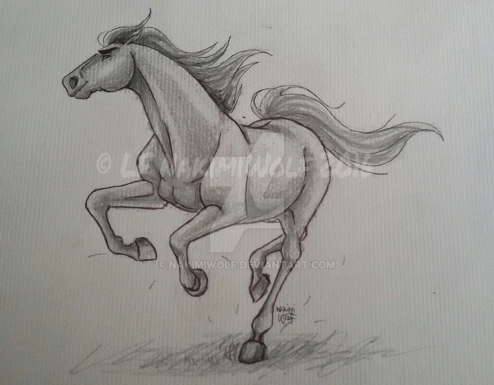 1012x789 Running Horse Sketch By Nakimiwolf - Running Horse Sketch