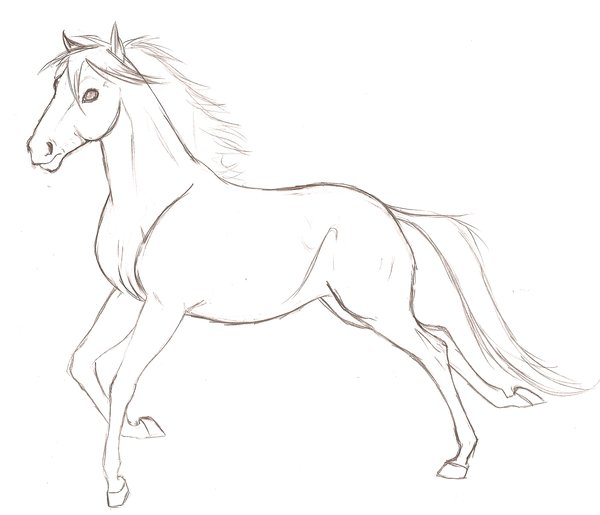 600x515 Running Horse Sketches - Running Horse Sketch