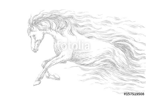 500x334 Running Horse, Line Drawing, Gray Pencil Sketch. Vector - Running Horse Sketch