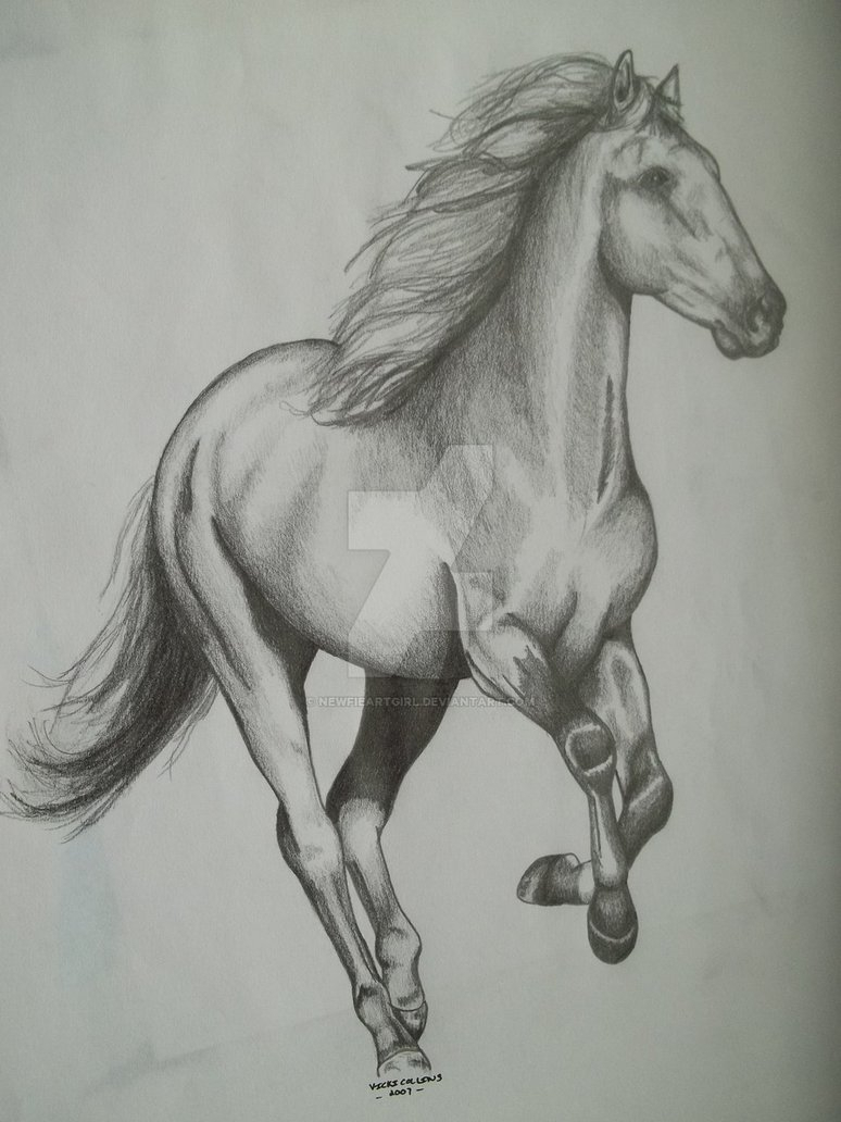 774x1032 Sketch Of A Horse Running Running Horse Sketchnewfieartgirl On - Running Horse Sketch