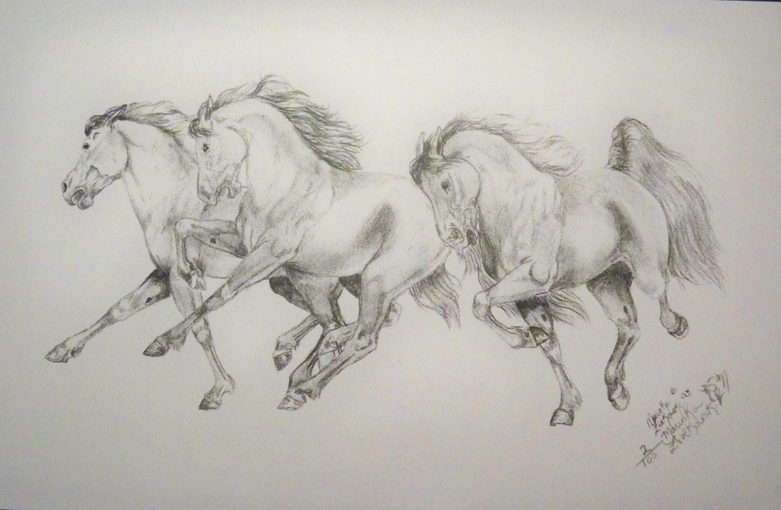 1100x718 Sketch Of A Horse Running Sketches Of Horses Running Running Horse - Running Horse Sketch