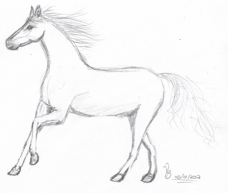 900x760 Horse Sketch - Running Horse Sketch