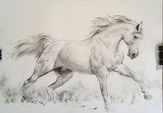 236x164 Drawings Of Horses Running Horses Running Drawing Running Horse - Running Horse Sketch
