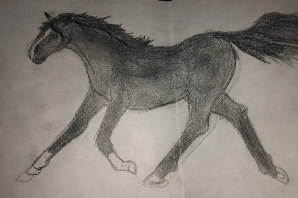 1024x681 Horse Sketch Running Horse By Savannahplays - Running Horse Sketch