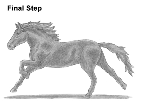 493x381 How To Draw A Horse Running - Running Horse Sketch