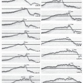 320x320 Sketch Of Lophelia Reef Facies Pattern Across An Iceberg - Running Track Sketch