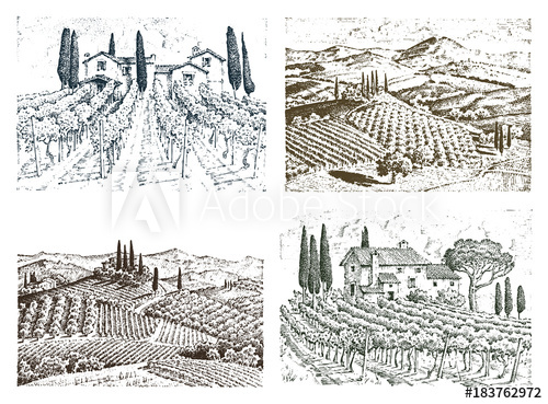 500x369 Rustic Vineyard. Rural Landscape With Houses. Solar Tuscany - Rustic Sketch