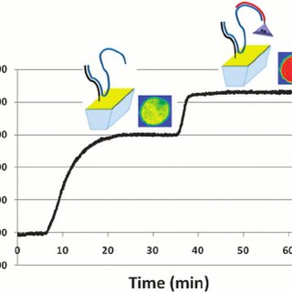 320x320 Sketch Of The Molecular Architecture For The Evaluation Of %rv - Rv Sketch