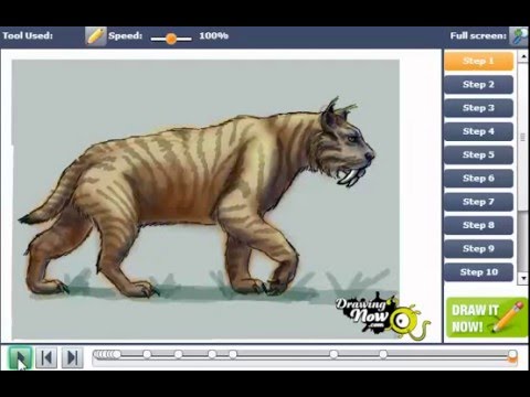 480x360 How To Draw A Saber Tooth Tiger - Saber Tooth Tiger Sketch