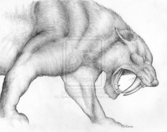 340x270 Sabre Tooth Tiger Etsy - Saber Tooth Tiger Sketch