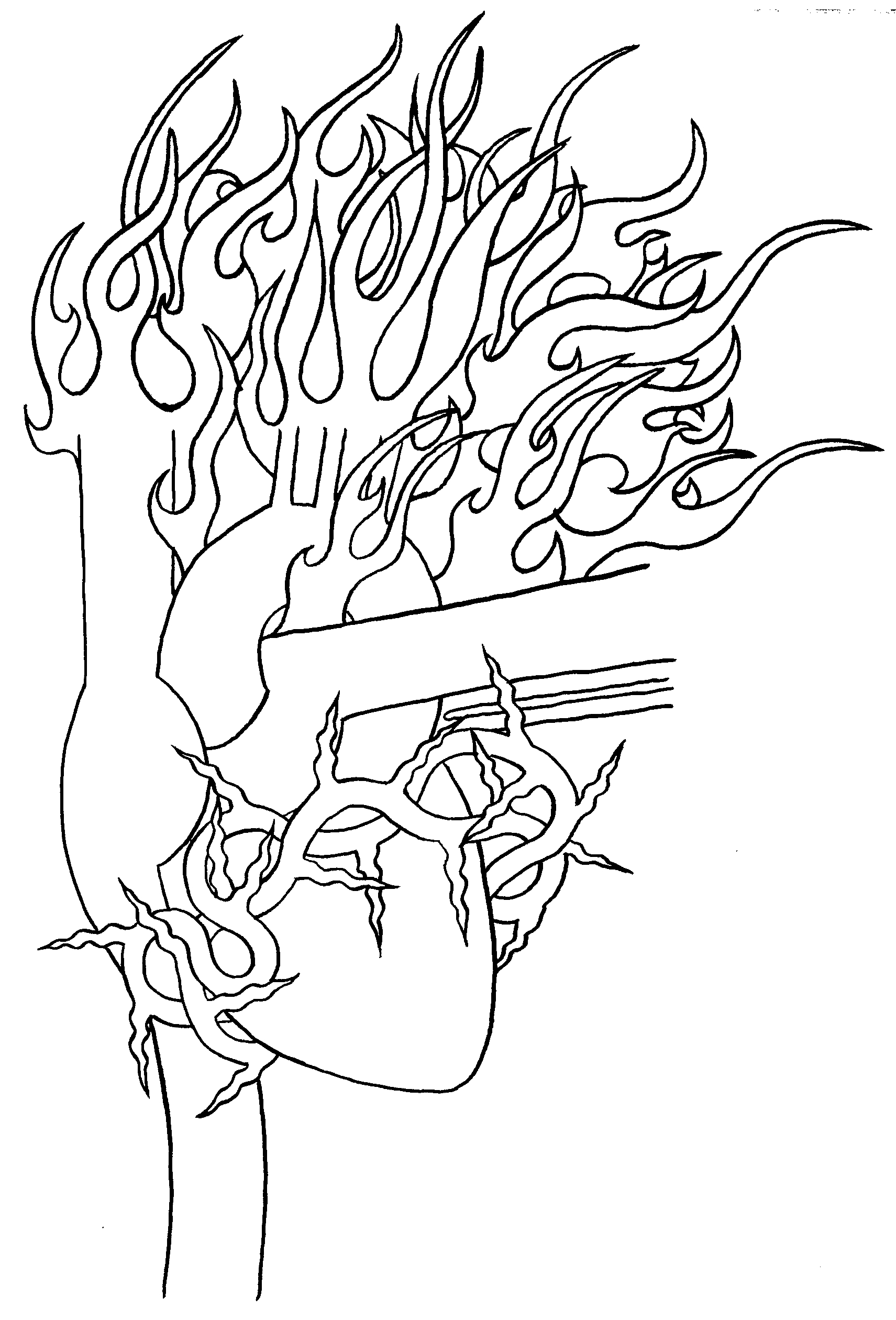 1711x2520 Sacred Heart Sketch Dean Johnson Art Studio - Sacred Heart Sketch