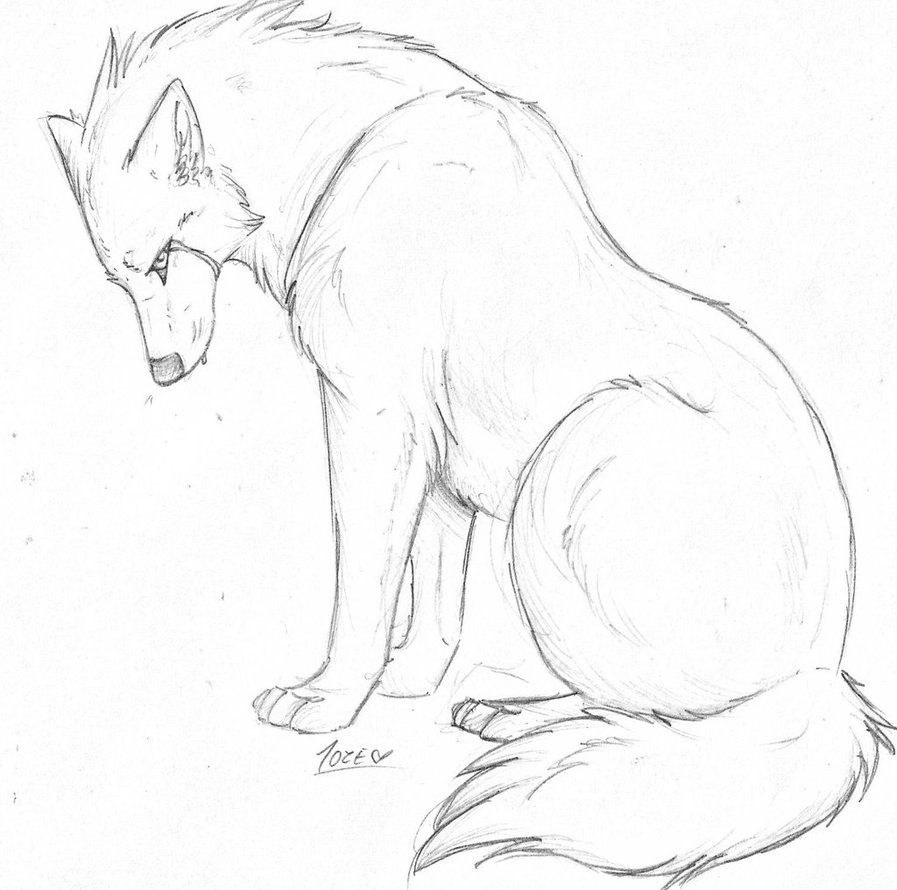 Sad Wolf Sketch At Paintingvalley Com Explore Collection Of Sad