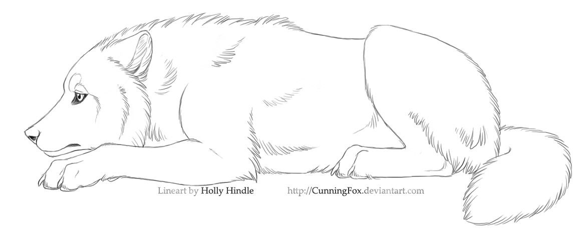 1170x466 Free Lineart - Sad Wolf Sketch