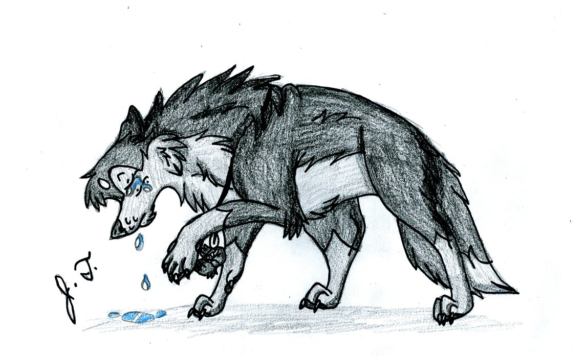 Sad Wolf Sketch at Explore collection of Sad Wolf