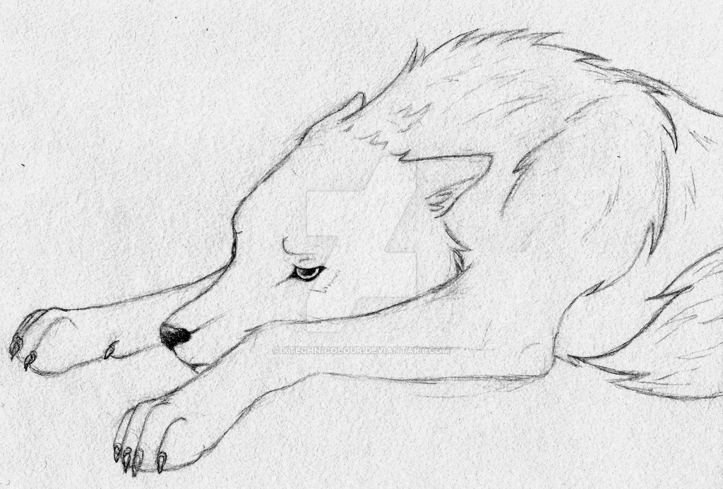 Sad Wolf Sketch at Explore collection of Sad Wolf