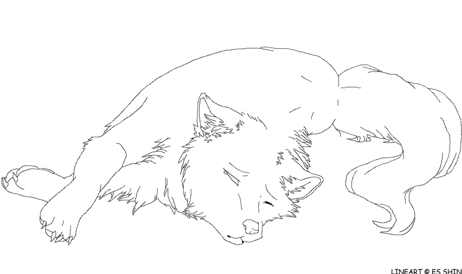 900x535 Anime Wolf Coloring Pages Sad Wolf Lineart By Xxwitherxx - Sad Wolf Sketch