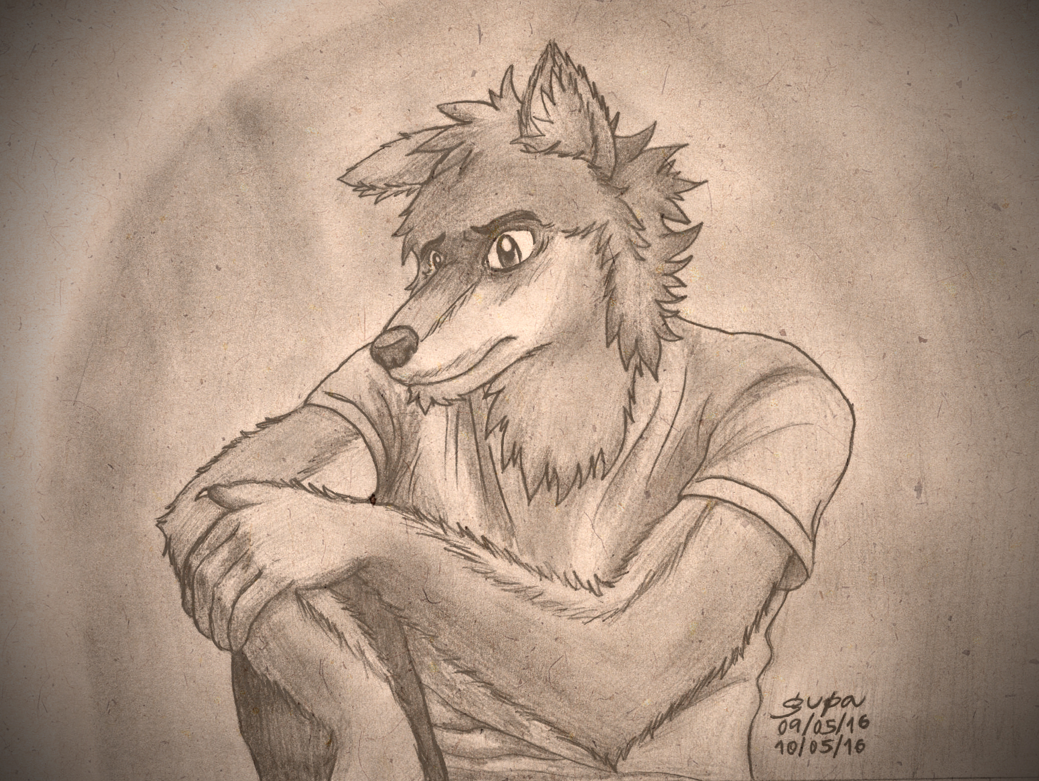 2060x1550 A Wolf Of Sadness By Gupa507 - Sad Wolf Sketch