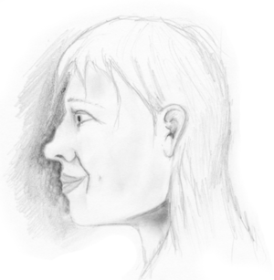 300x307 Saddle Nose - Saddle Sketch