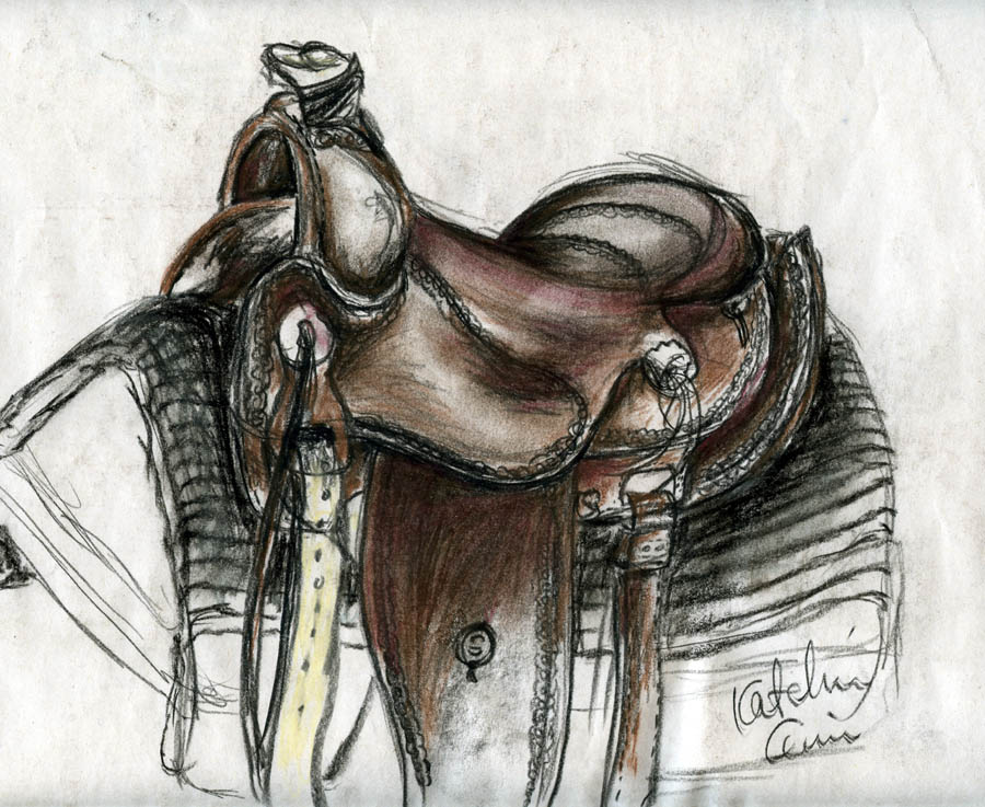 900x737 Saddle Sketch By Bloodstonefreedom - Saddle Sketch