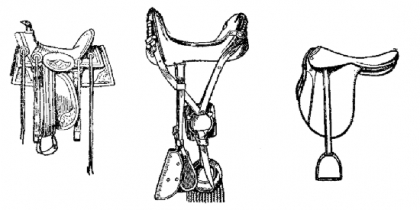 420x210 Saddle - Saddle Sketch