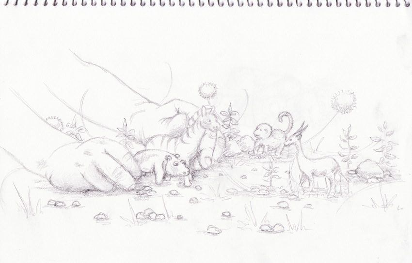 850x544 My Picture Garden - Safari Sketch