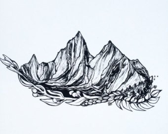 340x270 Sage Drawing Etsy - Sage Sketch