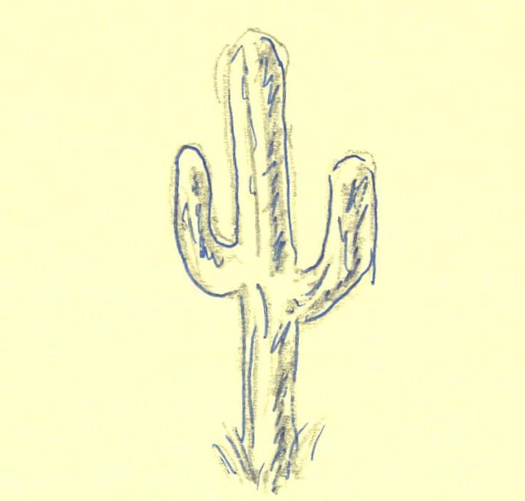 735x702 Filecactus Sketch.jpg - Saguaro Cactus Sketch
