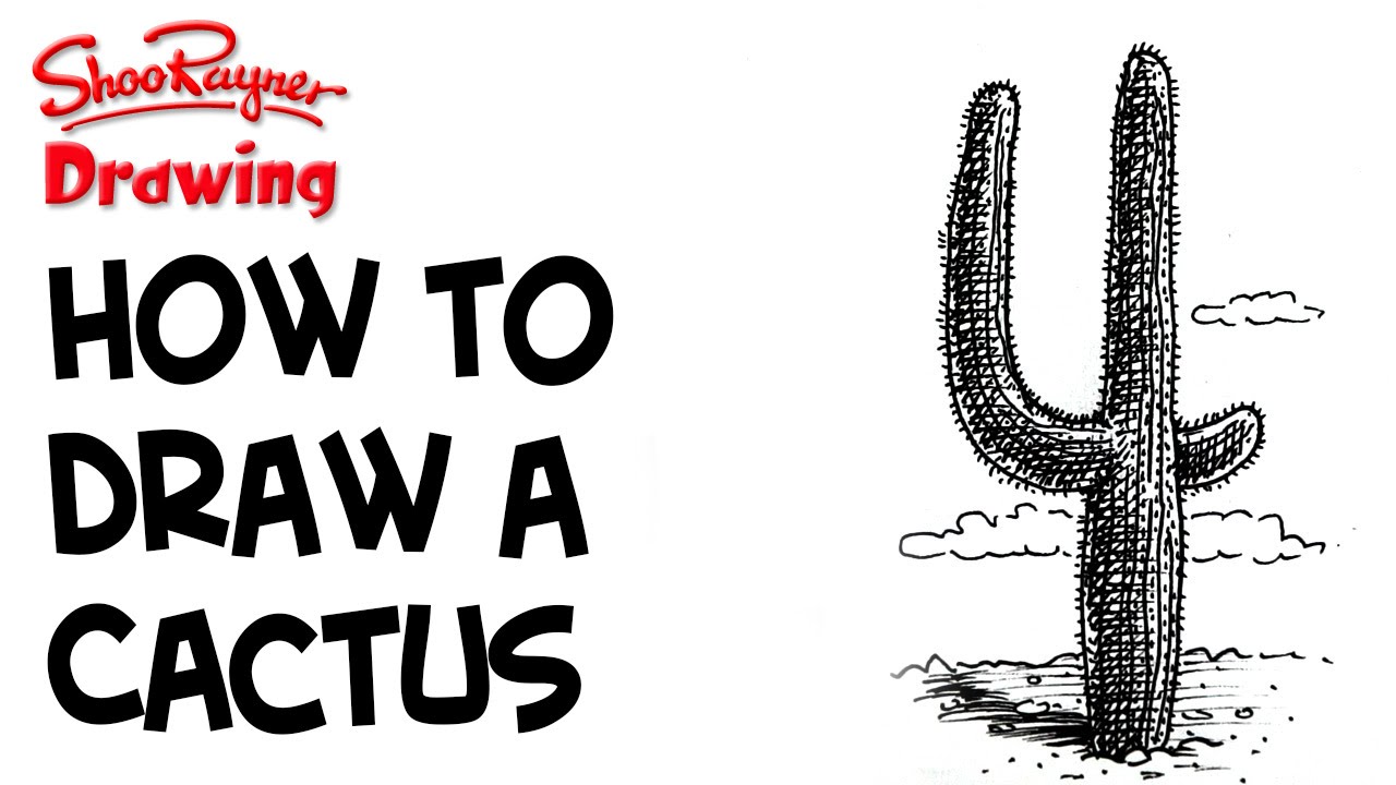 1280x720 How To Draw A Desert Cactus - Saguaro Cactus Sketch