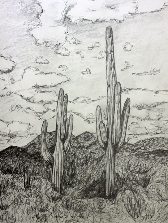 543x720 Saguaro - Saguaro Cactus Sketch