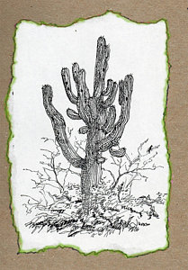209x300 Saguaro Cactus Sketch 41230 Loadtve - Saguaro Cactus Sketch