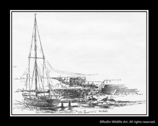 536x428 Sailboat Sketch Redlin Art Center - Sailboat Sketch