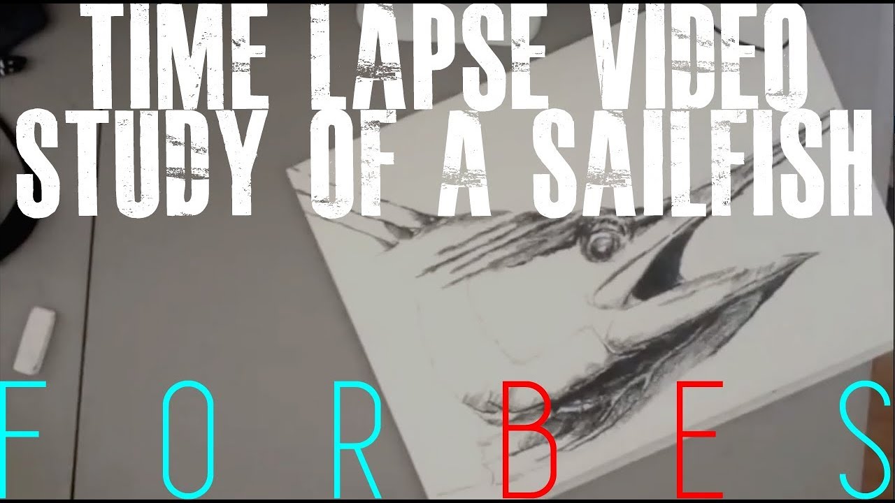 1280x720 Sailfish Sketch Video For Instagram. - Sailfish Sketch