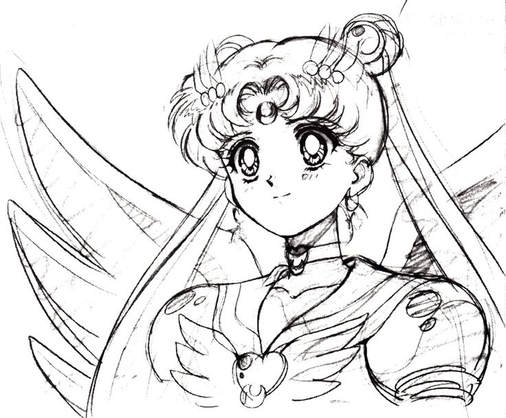 736x609 Image - Sailor Moon Sketch