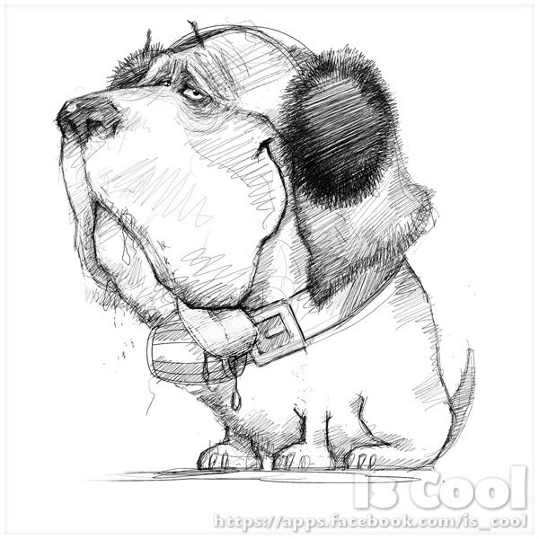 600x600 Saint Bernard - Saint Sketch