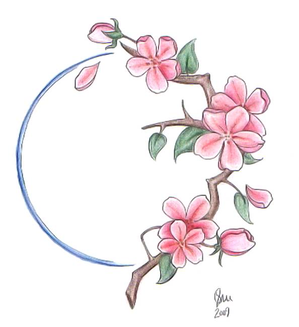 594x650 Collection Of Drawing Of Japanese Cherry Blossom High - Sakura Flower Sketch