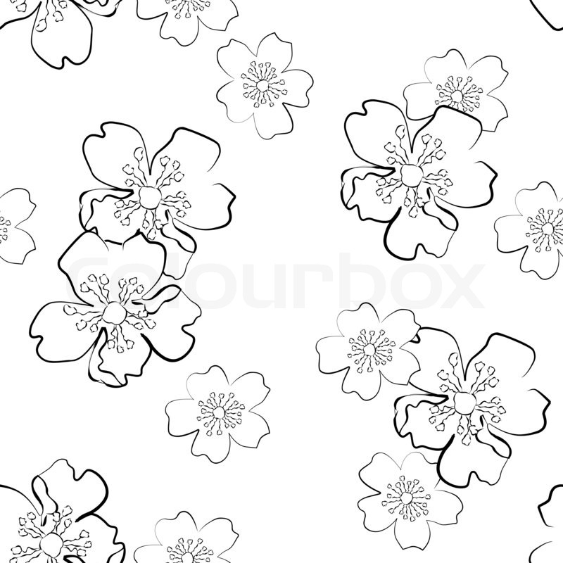 800x800 Seamless Background With Isolated Sakura Flowers In Sketch Style - Sakura Flower Sketch