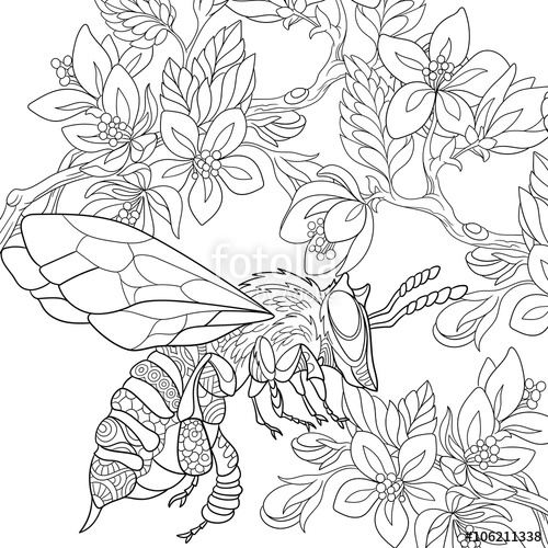 500x500 Zentangle Stylized Cartoon Bee Flying Among Sakura Flowers. Sketch - Sakura Flower Sketch