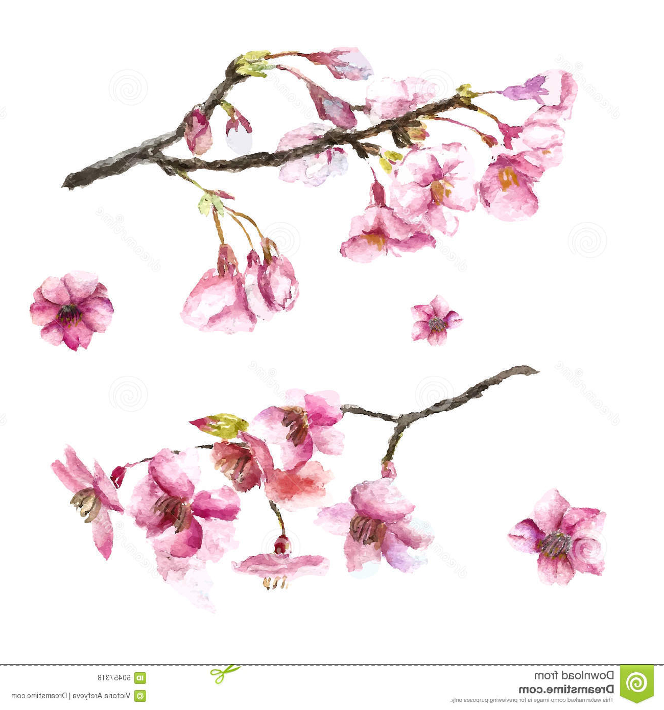 1300x1390 Branch Sakura Blossom Sketch Flower Pretty - Sakura Flower Sketch