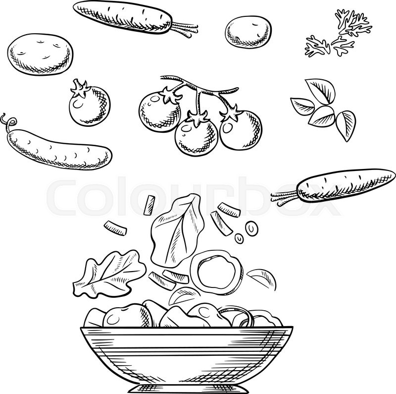 800x795 Cooking Vegetarian Salad Sketch With Fresh Cherry Tomatoes - Salad Sketch
