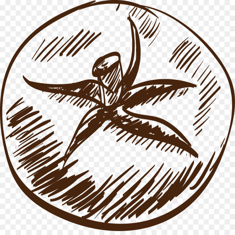 900x900 Drawing Tomato Salad Clip Art - Salad Sketch