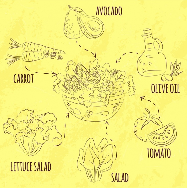 597x600 Salad Cuisine Infographic Ingredient Icons Handdrawn Sketch Free - Salad Sketch