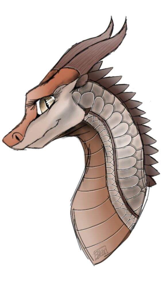 575x1024 Salamander Drawing Wings Of Fire Amino - Salamander Sketch