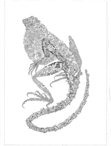 375x496 Salamander Fyou Drawing By Elmira Herren Muzafarova Saatchi Art - Salamander Sketch